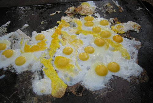 eggs derelict