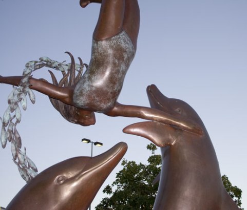dolphins galleria