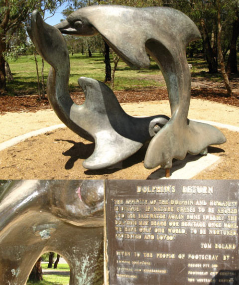 dolphins footscray