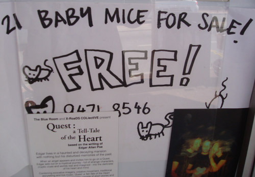 There's no such thing as a free mouse