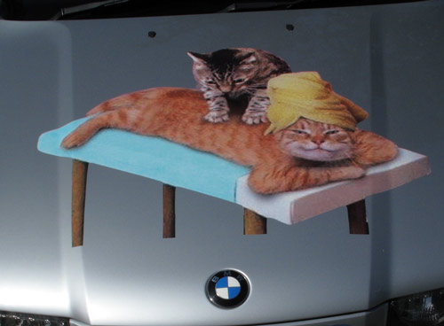 Mounted? No holding hands will do.