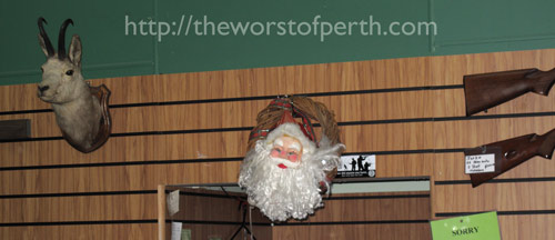 I was after a wild pig...