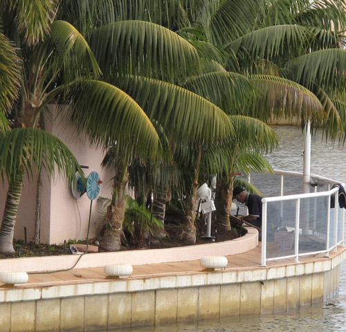 Rolly Tasker turd polishing.