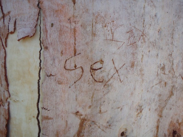 port-hedland-sex-001s