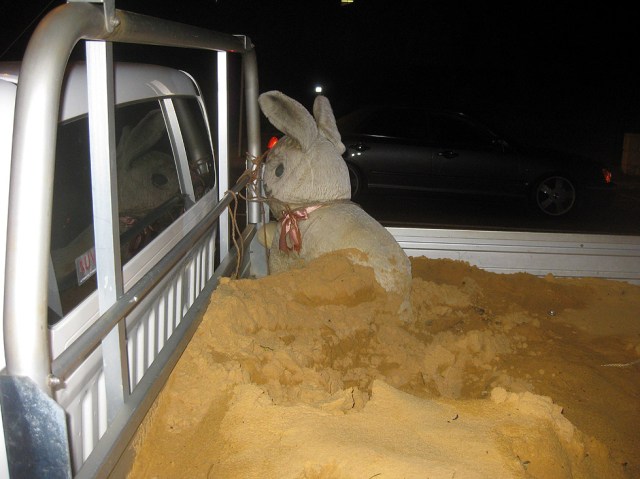 sand_rabbit2_bayswater
