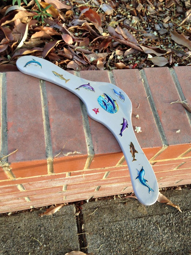 dolphinboomerang