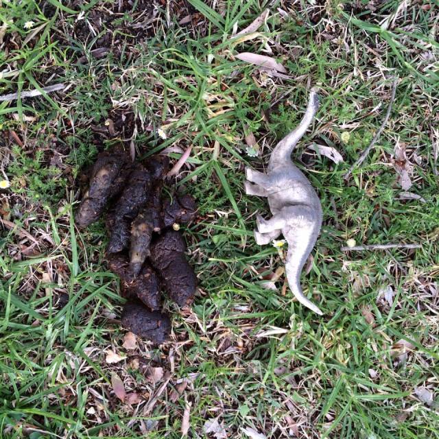 13912450_10208417411247114_7445349374877950354_n